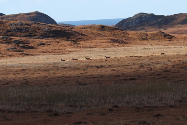 Fascadale to Port Eigin-aig Walk