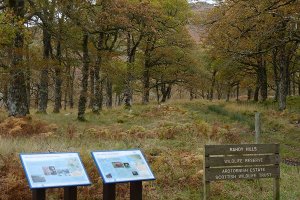 SWT Rahoy Hills Reserve