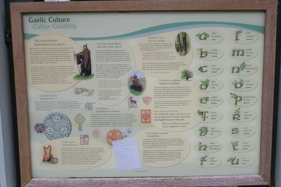 The Alphabet Trail and Salen woods