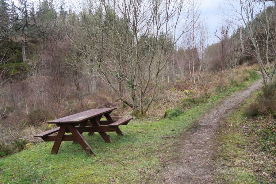 The Alphabet Trail and Salen woods