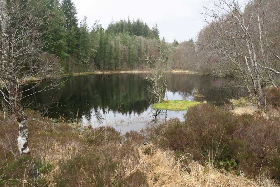 The Alphabet Trail and Salen woods