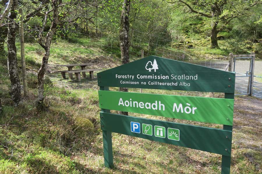 Aoineadh Mòr
