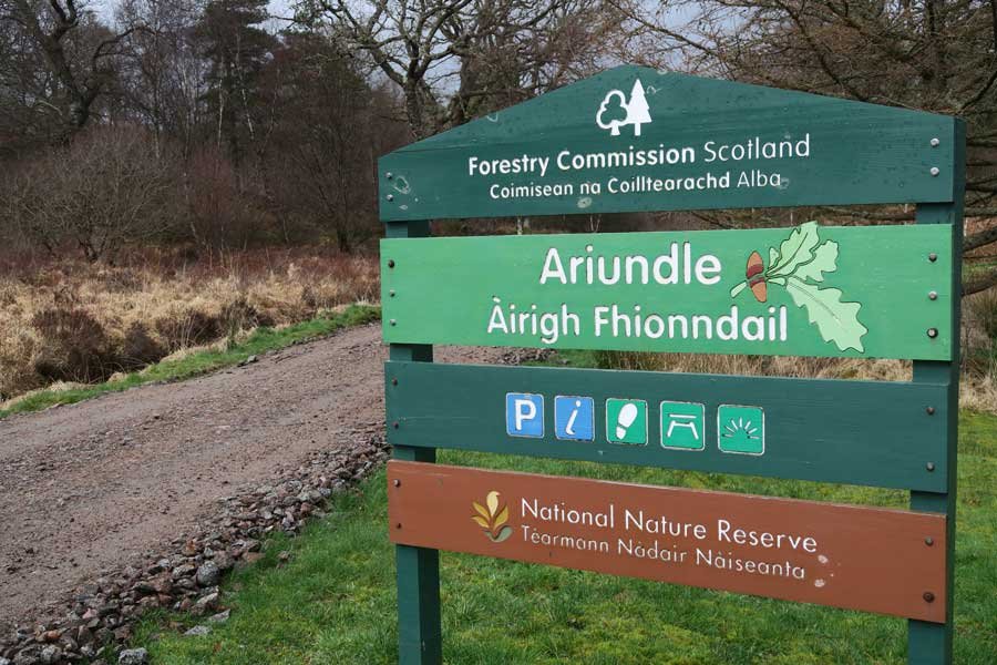 Ariundle Oakwoods
