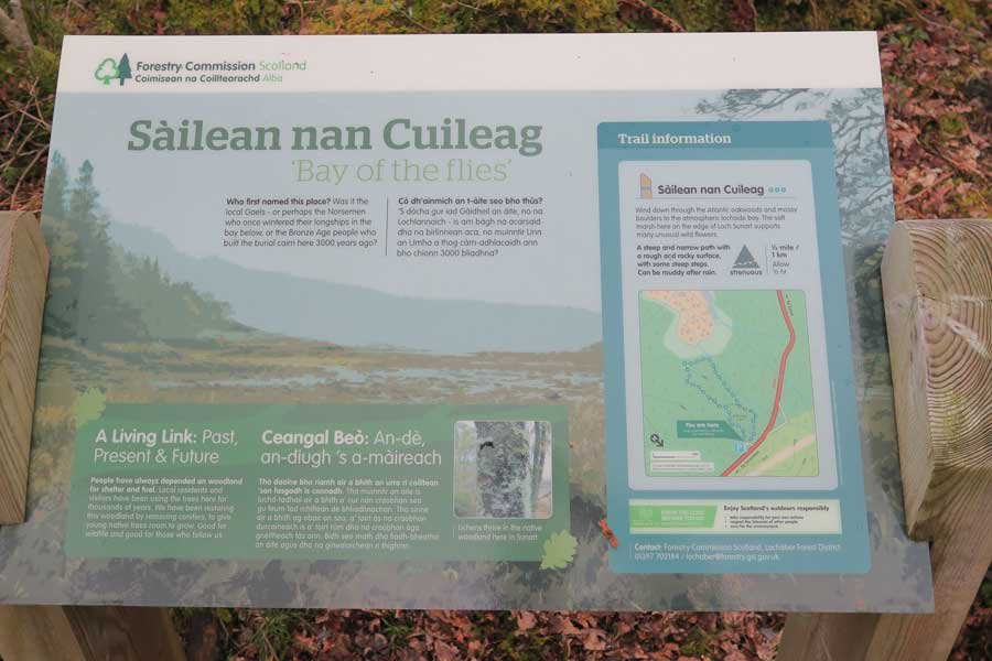 Sailean nan Cuileag