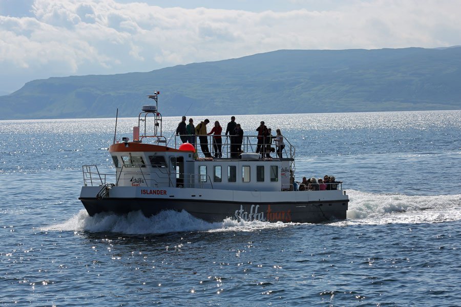 puffin safari