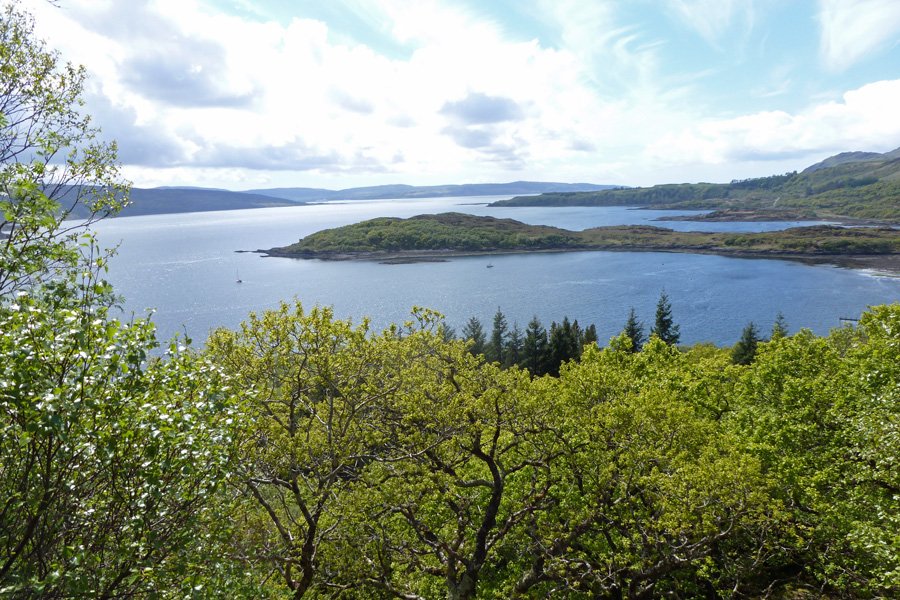 RSPB Glenborrodale Wildlife Walk