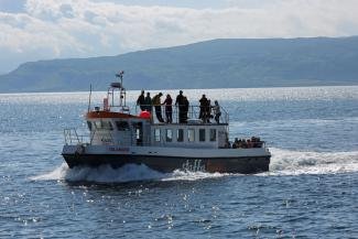 puffin safari